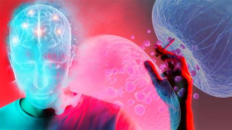 Age Sex Gender Influence The Organization Of The Brains Opioid System Https Debuglies