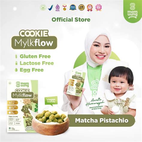 Jual MOM UUNG COOKIE ASI BOOSTER MYLKFLOW CLASSIC CHOCO ATAU MATCHA