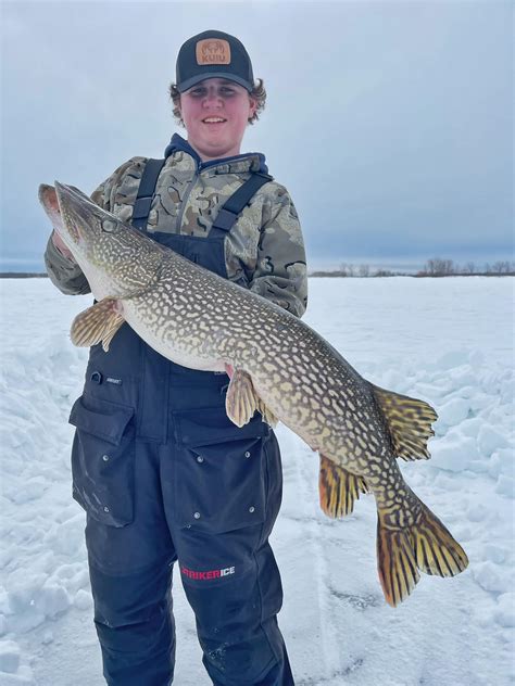 Fishing is excellent yet on Lake of the Woods and the ice is in stable