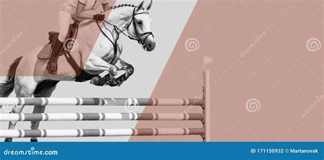 caballo  jinete banner  cabecera en blanco  negro cartelera tono