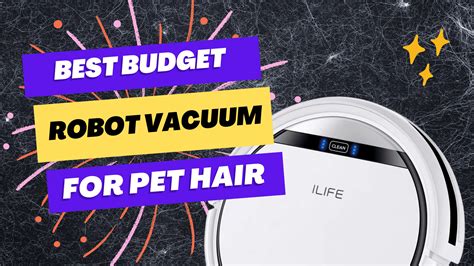 Best Budget Robot Vacuum For Pet Hair: Affordable, Fur-Free Homes ...