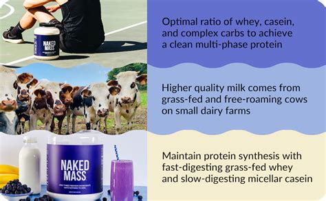 Amazon Naked Mass Natural Weight Gainer Protein Powder Lb Bulk Gmo Free Gluten Free