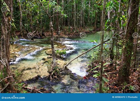 Natural Hot Water Stream Stock Photo Image Of Stream 40982472