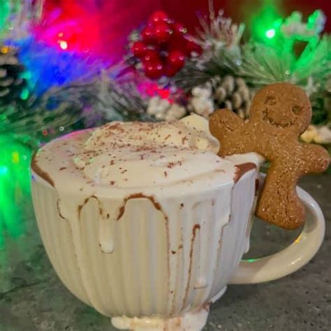 Cozy Gingerbread Hot Chocolate Recipe The Bite With Jackie