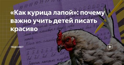 «Как курица лапой»: почему важно учить детей писать красиво | Педсовет ...