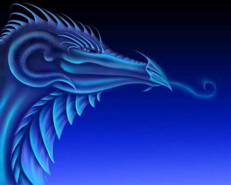 drac  venusnilo  deviantart