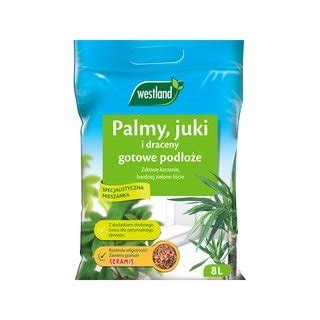 Podłoże Do Palm Juk I Dracen Z Granulkami Seramis I Włóknem Drzewnym