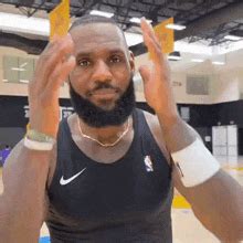 S De Lebron James Meme Tenor