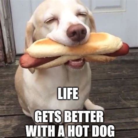 Hot Dawgs Make Everything Better Especially When It S Cold Out Like
