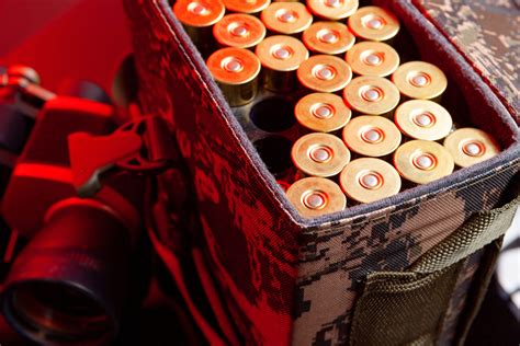 ultimate guide   shotgun ammos  home defense