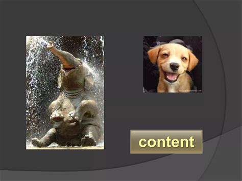 Lesson 16- Wordly Wise | PPTX