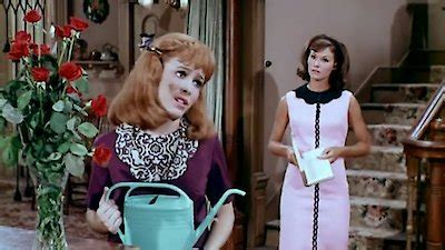 Watch Petticoat Junction Season 5 Episode 3 - One Dozen Roses Online Now