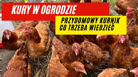 Kury W Przydomowym Ogrodzie Kurnik W Ogrodzie Jajka Od Tzw