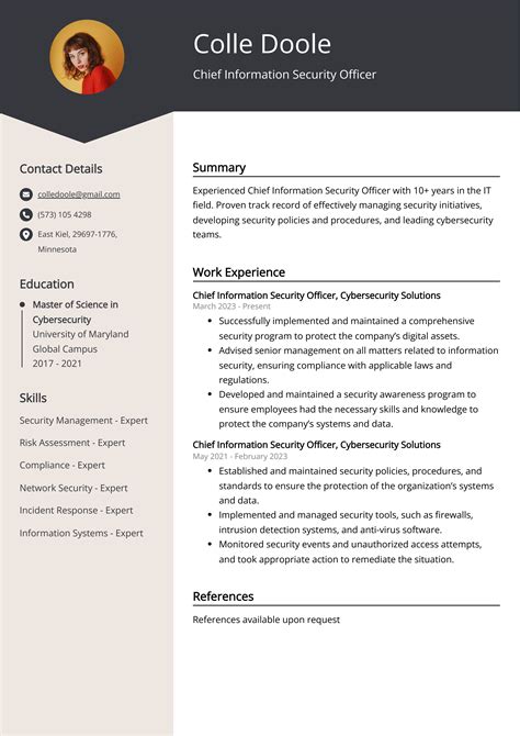 Chief Information Security Officer CV Example For 2024 Skills Templates