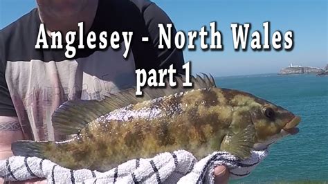 Anglesey Fishing In North Wales Part 1 Youtube