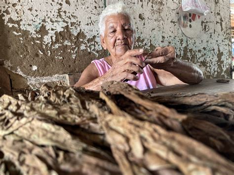 Entre Hojas Y Tradiciones La Centenaria Danza De Adela Tapia Con Los