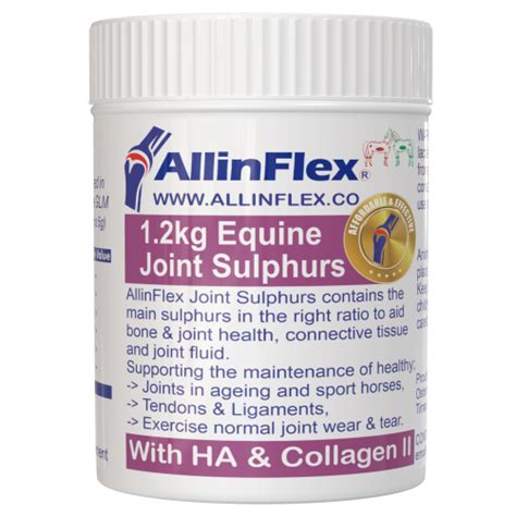 Equine Joint Powder For Arthritis Joint Supplements For People Dogs