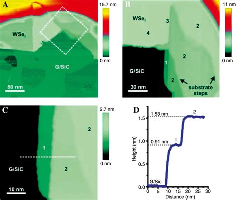 Optical Properties Of Atomically Thin Transition Metal Dichalcogenides