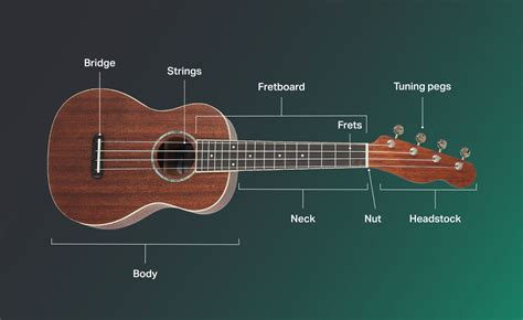 How To Play Ukulele Learn Ukulele In 8 Steps Yousician