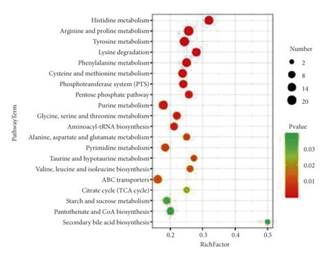 Kegg Pathway Enrichment Analysis Of Differential Metabolites On A Day