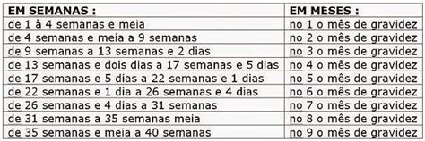 Engravidei Em Novembro Quando Nasce O Bebê