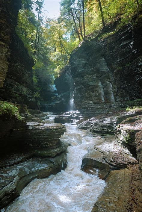 watkins glen photograph  david lamb pixels