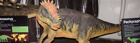 Jurassic Quest Dinosaur Exhibition Of Life Size Dinosaur Models Trip Report And Travel