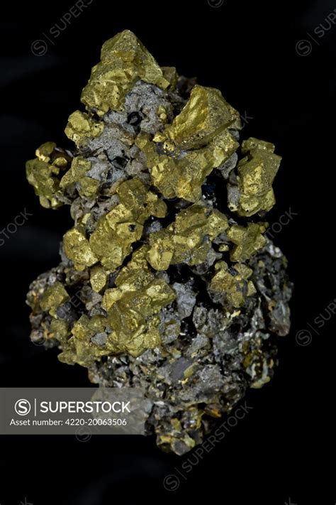 Chalcopyrite Cufes Golden Commodore Mine Colorado Usa The