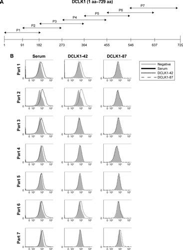 Full Article Analysis Of The Clinical Significance Of Dclk1