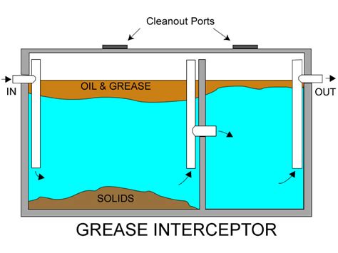 Microbes For Treatment Of Grease Traps