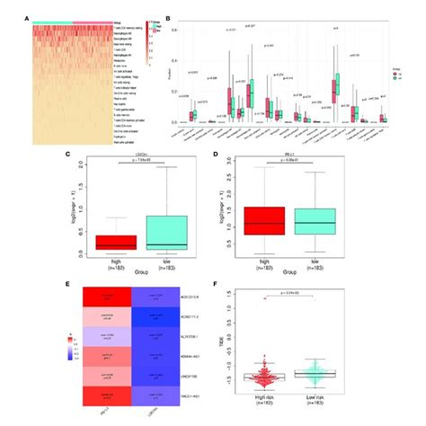 Differences In Immune Infiltration And Immune Checkpoint Gene Download Scientific Diagram