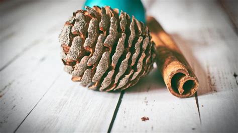 How To Make Scented Pinecones Home And Gardening Ideas