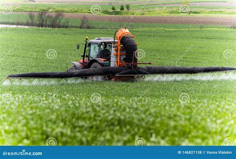 Trigo De Pulveriza O Do Trator No Campo Foto De Stock Imagem De Cena