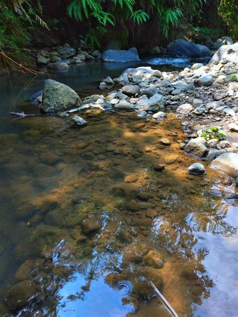 pinggir sungai sungai