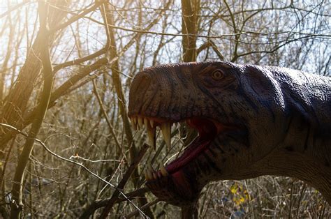 Dinosaurier Dino Tyrannosaurus Rex Kostenloses Foto Auf Pixabay