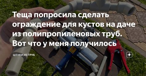 Теща попросила сделать ограждение для кустов на даче из ...