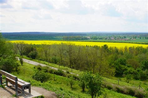 Hahneberg in Spandau - lookout point and recreation area