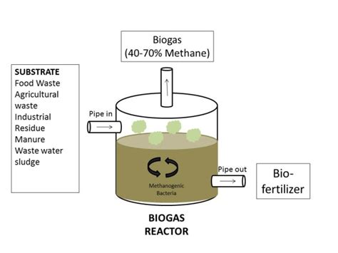 Biogas production process diagram. These parameters are: (1) substrate...