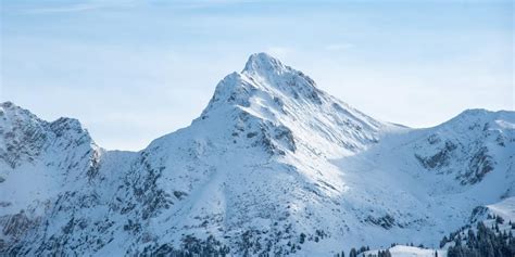 started  alpinejs  typescript dev community