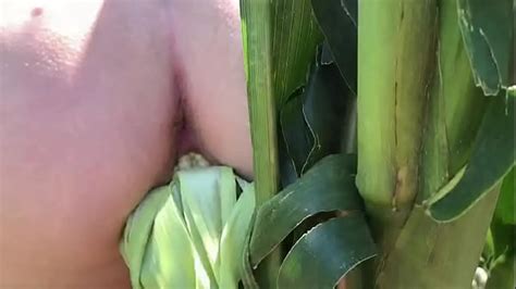 Alva Nude In Corn Field Coed Cherry Porn Videos LetMeJerk