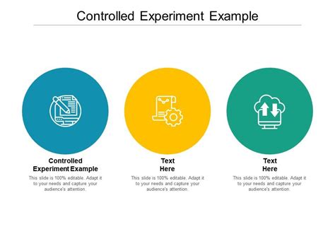 Controlled Experiment Example Ppt Powerpoint Presentation Professional Format Cpb | Presentation ...