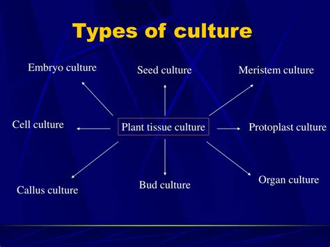 PPT - CH5. Types of Culture PowerPoint Presentation, free download - ID ...