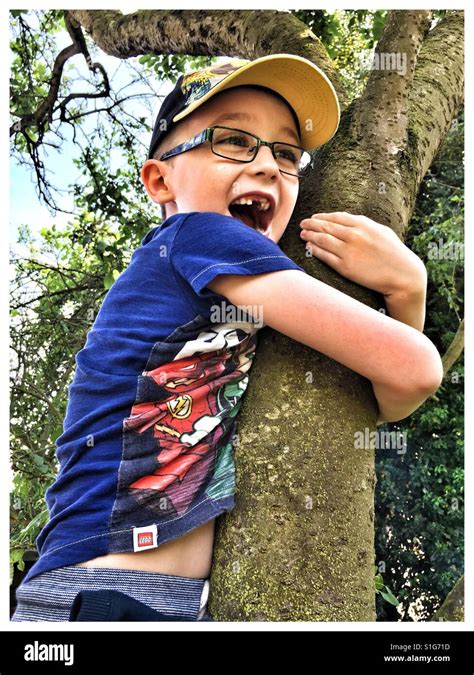 Scared boy stuck up a tree Stock Photo - Alamy