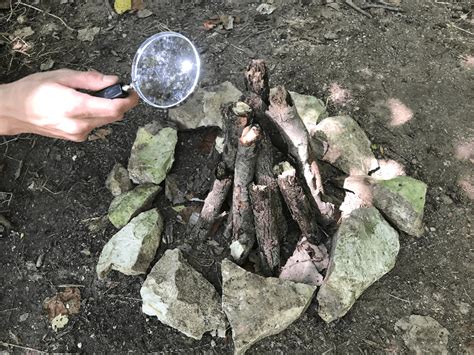 How To Start A Campfire For Beginners