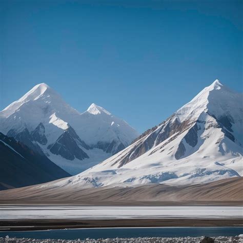 karakul images    freepik