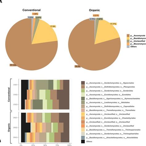 Distribution Of The Most Abundant Fungal Phyla A And Distribution