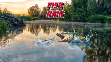 Fish Rain - Unblocked Games 999