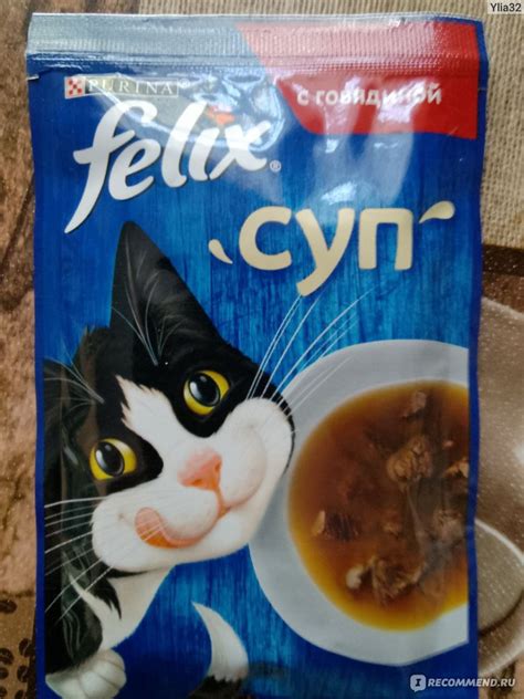 Корм для кошек Purina Felix суп с говядиной - «Кушал с аппетитом» | отзывы
