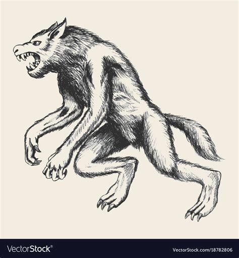 Werewolf sketch Royalty Free Vector Image - VectorStock