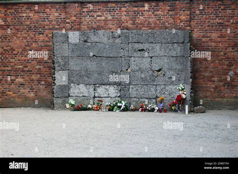death wall  auschwitz concentration camp stock photo alamy
